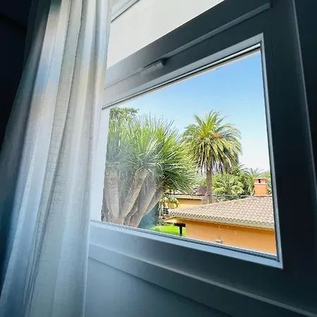 En El Casco Histórico La Laguna (Tenerife)