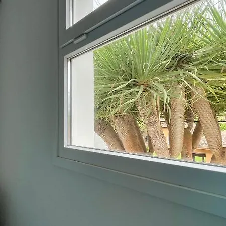 En El Casco Historico