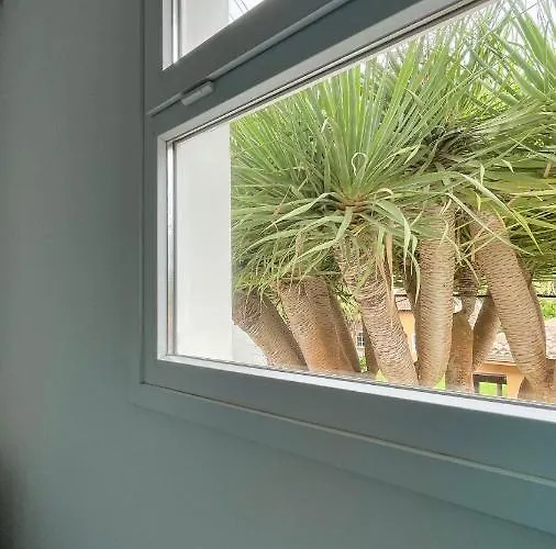 En El Casco Historico