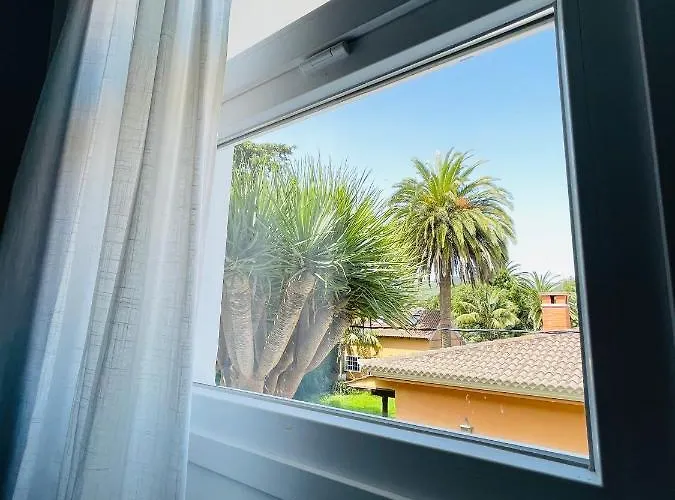 En El Casco Historico لا لاغونا